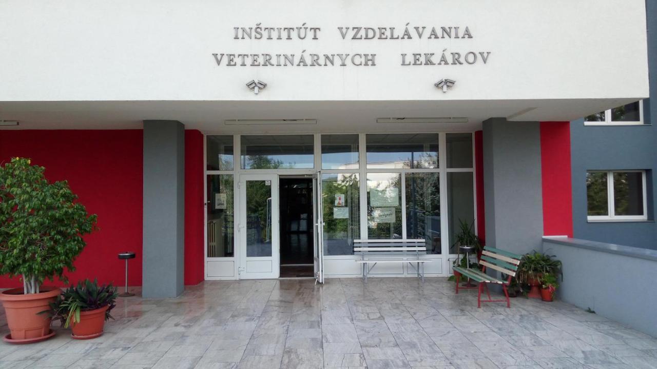 Penzion Institut Koszyce Zewnętrze zdjęcie